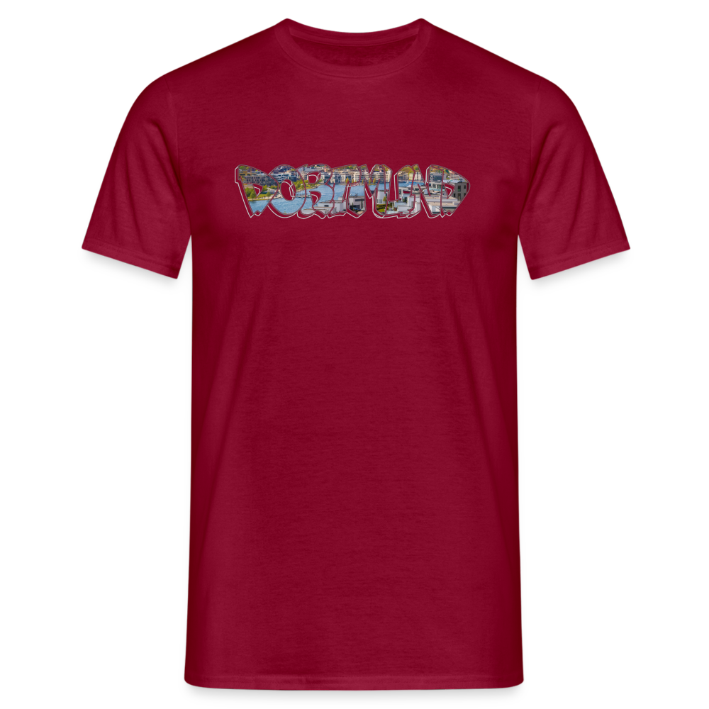 T-Shirt Dortmund Phoenix-See - brick red
